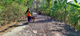 Pengaspalan Jalan Kabupaten di Padukuhan Kemejing 3 Mulai Dilaksanakan